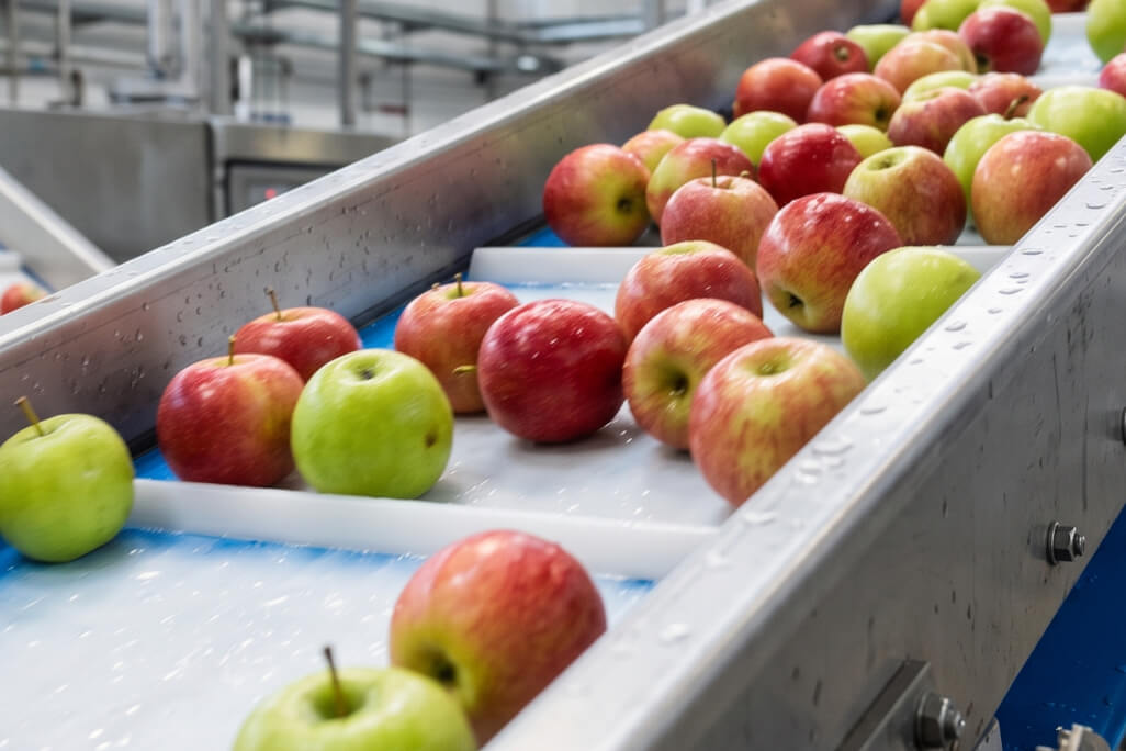 Tappeto per Nastro Trasportatore per Alimenti